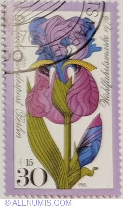 Image #1 of 30+15 Pfennig 1976 - Iris