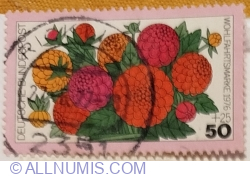 Image #1 of 50+25 Pfennig 1976 - Youth-and-age or Common Zinnia (Zinnia elegans)