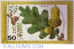 Image #1 of 50+25 Pfennig 1979 - English Oak