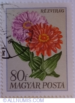 80 Fillér 1968 - Zinnia (Zinnia elegans)