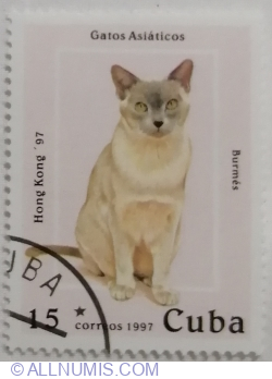 Image #1 of 15 Centavos 1997 - Burmese Cat (Felis silvestris catus)
