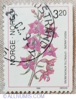 Image #1 of 3,20 Kronor 1990 - Epipactis atrorubens - Dark-red Helleborine