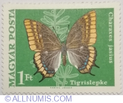Image #1 of 1 Forint 1969 - Painted Lady (Charaxes jasius)