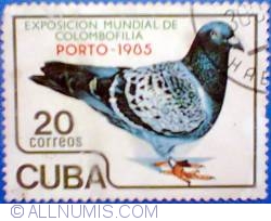 Image #1 of 20 centavos 1985 Cuba - Exposicion mundial de colombofilia Porto - pigeon 1985
