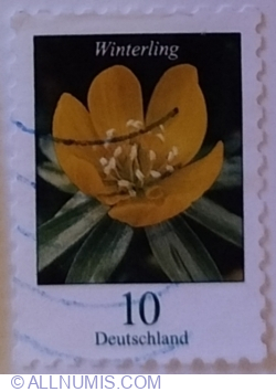 10 Eurocent 2018 - Winter Aconite (Eranthis hyemalis)