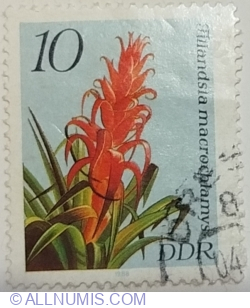 10 Pfennig 1988 - Tillandsia macrochlamys