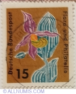 15 Pfennig 1963 - Lady’s slipper (Cypripedium calceolus)