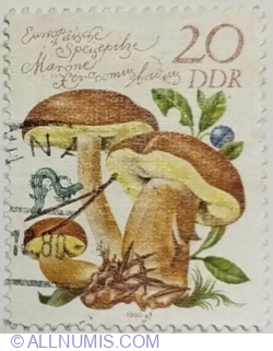 20 Pfennig 1980 - Marone (Xerocomus badius)