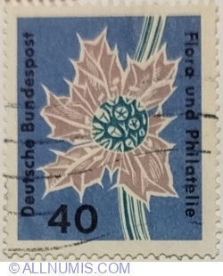 40 Pfennig 1963 - Sea Holly (Eryngium maritimum)