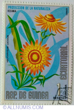 Image #1 of 1 Peseta 1976 - Helichrysum lucidum