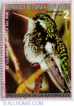 Image #1 of 2 Peseta 1974 - Hummingbird