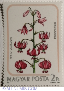 2 Forint 1985 - Turk's-cap Lily (Lilium martagon)