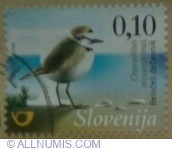 Image #1 of 0,10 Euro 2015 - Kentish plover (Charadrius alexandrinus)