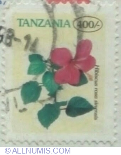 Image #1 of 400 șiling 1996 - Hibiscus rosa sinensis