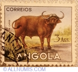 3 Angolar 1953 - African Buffalo (Syncerus caffer)