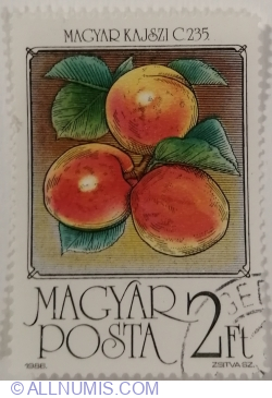 2 Forint 1986 - Apricots