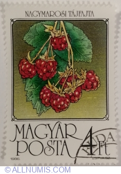 4 Forint 1986 - Raspberries