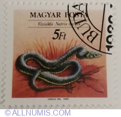 5 Forint 1989 - European Grass Snake (Natrix natrix)