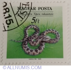 5 Forint 1989 - Meadow Viper (Vipera ursinii ssp. rakosiensis)