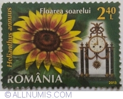 2.40 Lei - Sunflower (Helianthus annuus)