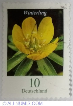 Image #1 of 10 Eurocent 2017 - Winter Aconite (Eranthis hyemalis)