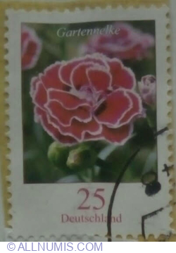 Image #1 of 25 Eurocent 2008 - Gartennelke Carnation (Dianthus caryophyllus)