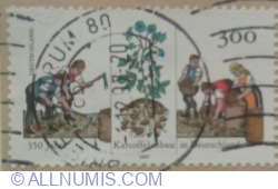 Image #1 of 300 Pfennig 1997 - Potato plant and cultivation