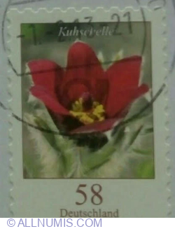 Image #1 of 58 Eurocent 2012 - Pasque Flower (Pulsatilla vulgaris)