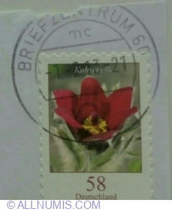 Image #2 of 58 Eurocent 2012 - Pasque Flower (Pulsatilla vulgaris)