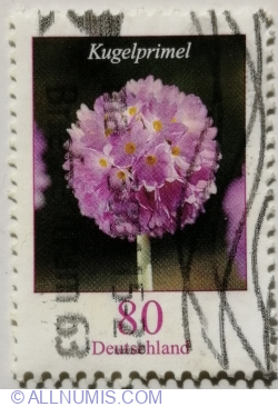 Image #1 of 80 Eurocent 2014 - Drumstick Primrose (Primula denticulata)