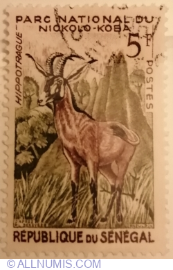 Image #1 of 5 Francs 1960 - Roan Antelope (Hippotragus equinus)