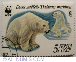 5 Kopeks 1987 - Polar Bear (Ursus maritimus) In and Out of Water