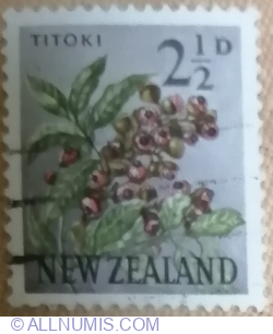 Image #1 of 2½ Penny 1961 - Titoki / New Zealand Oak (Alectryon excelsus)