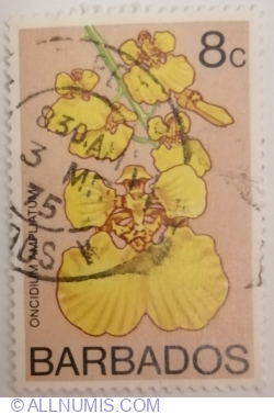 8 Cent 1974 - Rossioglossum ampliatum (syn.Oncidium ampliatum)