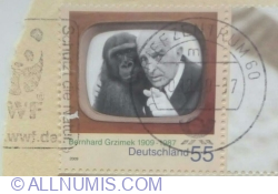 Image #2 of 55 Eurocent 2009 - Western Gorilla (Gorilla gorilla), Bernhard Grzimek