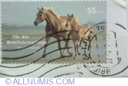 Image #2 of 55+25 Eurocent 2007 - Horse (Equus ferus caballus)