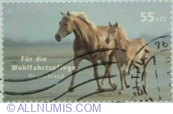 Image #1 of 55+25 Eurocent 2007 - Horse (Equus ferus caballus)