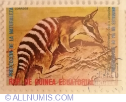 1 Ekwele 1974 - Numbat (Myrmecobius fasciatus)