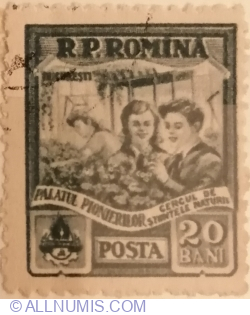 20 Bani 1955 - Pioneers at Botany