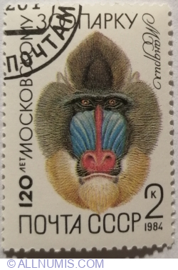 2 Kopeks 1984 - Mandrill (Mandrillus sphinx)