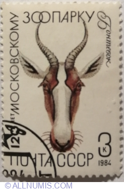 3 Kopeks 1984 - Bontebok (Damaliscus pygargus)