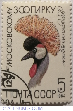 5 Kopeks 1984 - Grey Crowned Crane (Balearica regulorum)