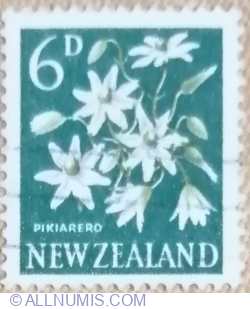 6 Pence 1960 - Pikiarero, Sweet Autumn Clematis (Clematis paniculata)