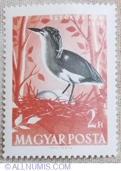 Image #1 of 2 Forint 1959 - Squacco Heron (Ardeola ralloides)