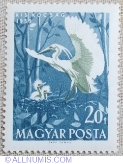 Image #1 of 20 Fillér 1959 - Little Egret (Egretta garzetta)