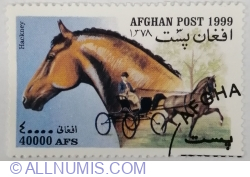40000 Afghani 1999- Hackney (Equus ferus caballus