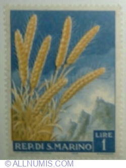 Image #1 of 1 Liră 1958 - Ears of Grain (Triticum aestivum)