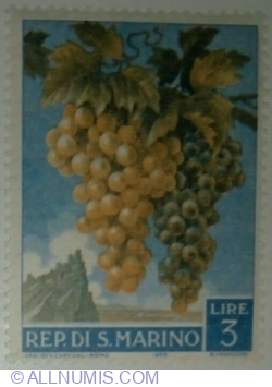 Image #1 of 3 Liră 1958 - Bunch of Grapes (Vitis vinifera)