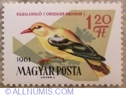 Image #1 of 1,20 Forint 1961 - Golden Oriole (Oriolus oriolus)