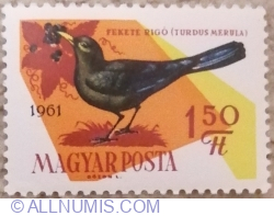 Image #1 of 1,50 Forint 1961 - Common Blackbird (Turdus merula)
